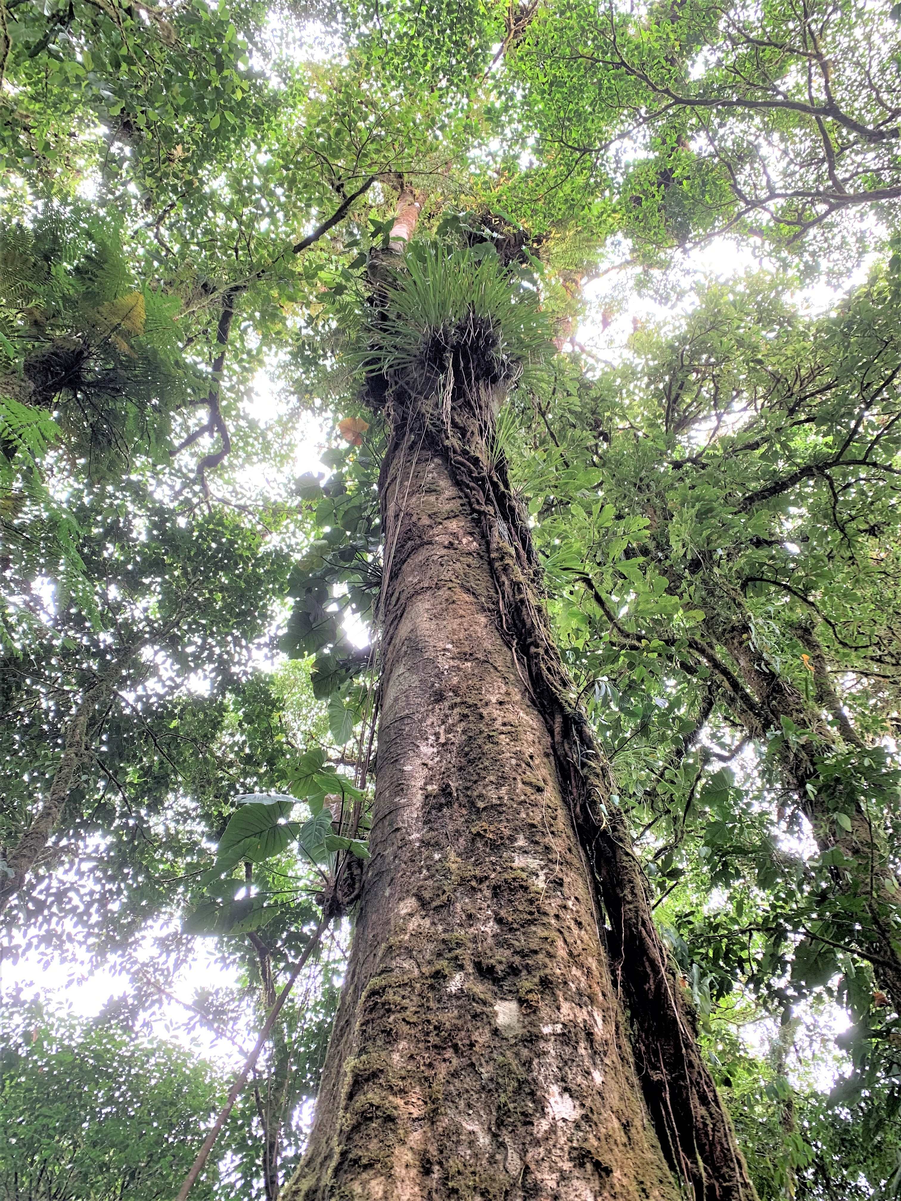 Costa Rica